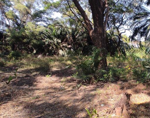 1,330 Sqm. Land listed for ฿ 2,660,800.
