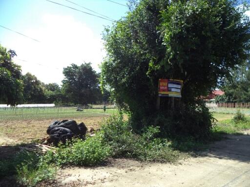 2,476 Sqm. Land listed for ฿ 3,097,000.