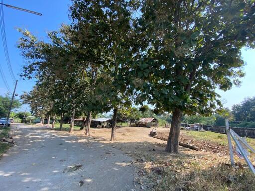 3,279 Sqm. Land listed for ฿ 3,013,000.