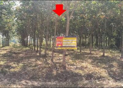 87,816 Sqm. Land listed for ฿ 2,997,000.