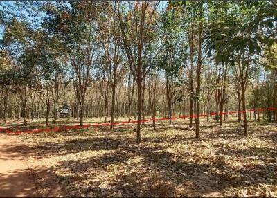 87,816 Sqm. Land listed for ฿ 2,997,000.