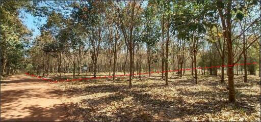 87,816 Sqm. Land listed for ฿ 2,997,000.