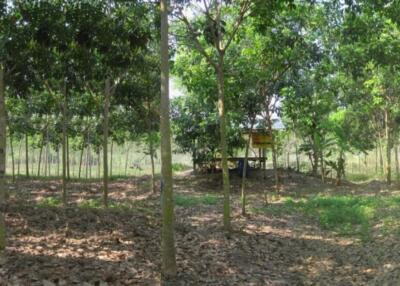 87,680 Sqm. Land listed for ฿ 2,993,000.