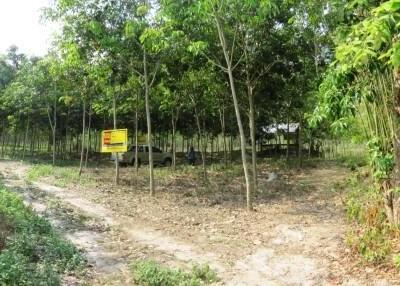 87,680 Sqm. Land listed for ฿ 2,993,000.