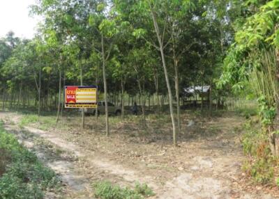 87,680 Sqm. Land listed for ฿ 2,993,000.