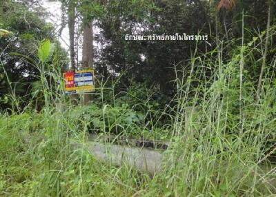 4,300 Sqm. Land listed for ฿ 2,991,000.