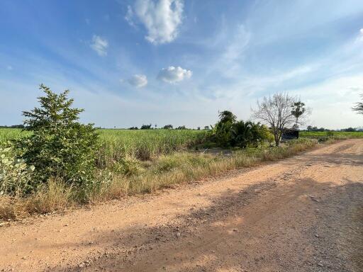 22,400 Sqm. Land listed for ฿ 2,940,000.