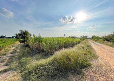 22,400 Sqm. Land listed for ฿ 2,940,000.