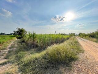 ที่ดิน บ้านโข้ง ราคาพิเศษ!