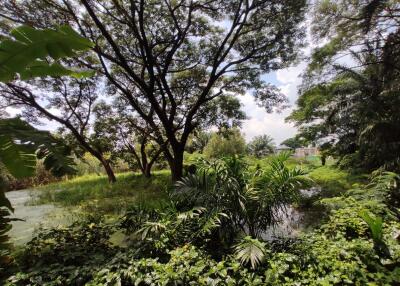 1,254 Sqm. Land listed for ฿ 2,508,000.