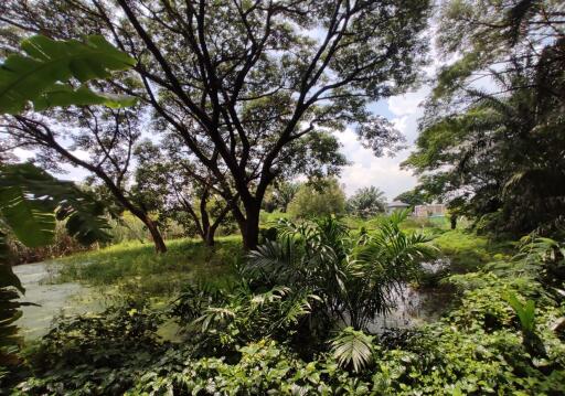 1,254 Sqm. Land listed for ฿ 2,508,000.