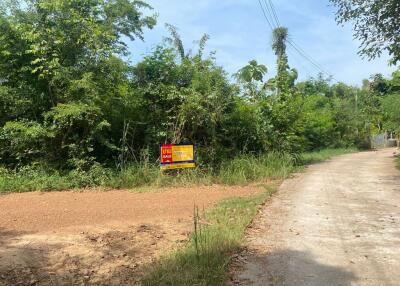 12,784 Sqm. Land listed for ฿ 2,923,000.