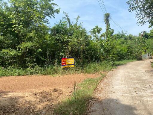 12,784 Sqm. Land listed for ฿ 2,923,000.