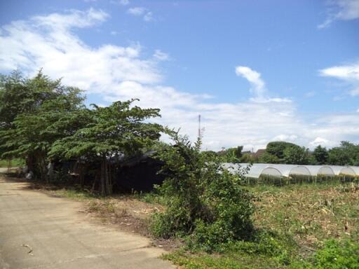 2,528 Sqm. Land listed for ฿ 2,821,000.
