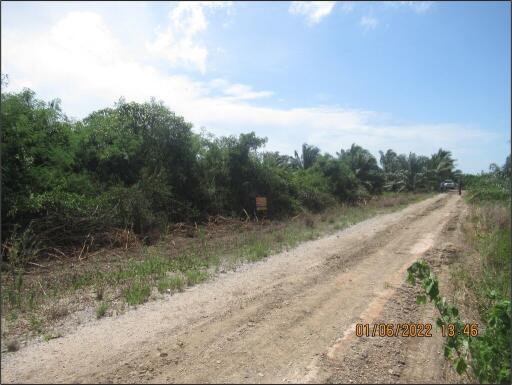 19,240 Sqm. Land listed for ฿ 2,796,000.
