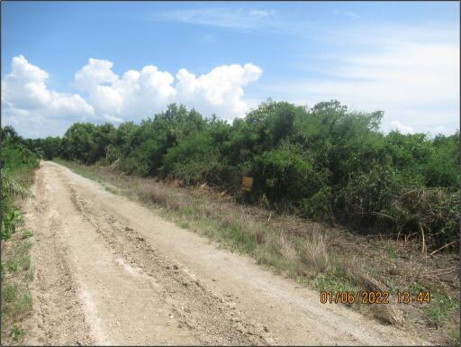 19,240 Sqm. Land listed for ฿ 2,796,000.