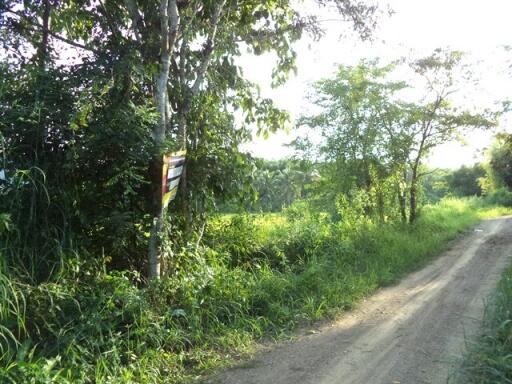 14,804 Sqm. Land listed for ฿ 2,721,000.