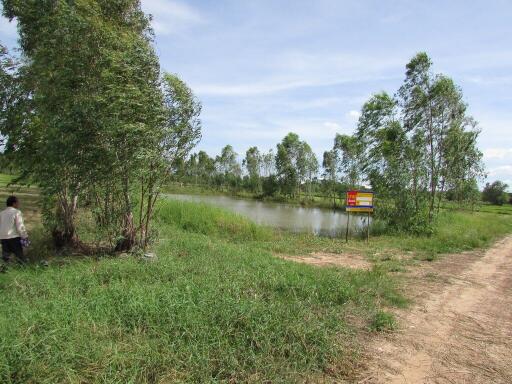 11,384 Sqm. Land listed for ฿ 2,690,000.