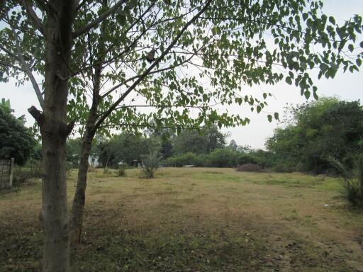 3,244 Sqm. Land listed for ฿ 2,677,000.