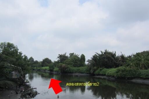 9,888 Sqm. Land listed for ฿ 2,596,000.