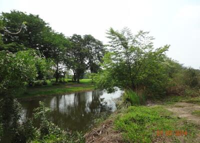 6,496 Sqm., 1 Bed Land listed for ฿ 2,573,000.