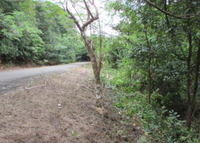 7,104 Sqm. Land listed for ฿ 2,425,000.