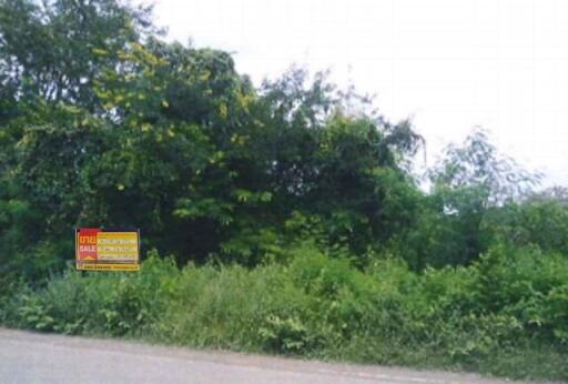 1,556 Sqm. Land listed for ฿ 2,247,000.