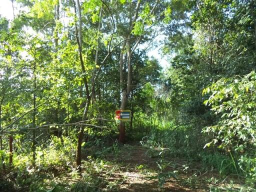 11,952 Sqm. Land listed for ฿ 2,197,000.