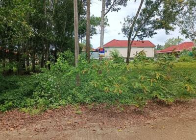 503 Sqm. Land listed for ฿ 1,690,000.