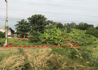 19,200 Sqm. Land listed for ฿ 1,500,000.