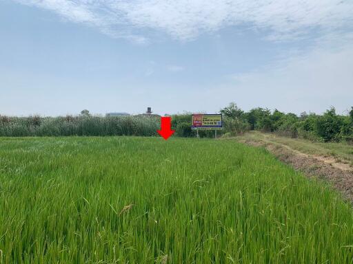 7,972 Sqm. Land listed for ฿ 2,093,000.