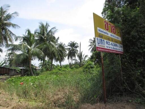 2,368 Sqm. Land listed for ฿ 2,093,000.