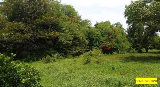 496 Sqm. Land listed for ฿ 1,670,000.