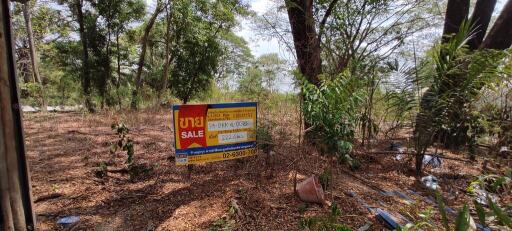 890 Sqm. Land listed for ฿ 1,780,800.