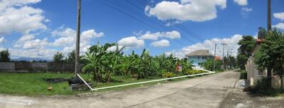 772 Sqm. Land listed for ฿ 2,035,000.