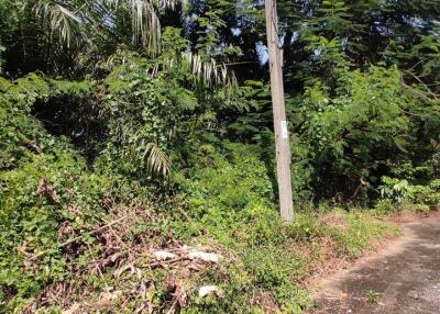 862 Sqm. Land listed for ฿ 1,723,200.
