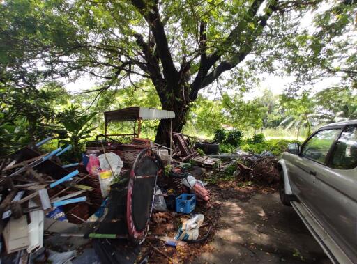 ที่ดิน สามวาตะวันออก ราคาพิเศษ!