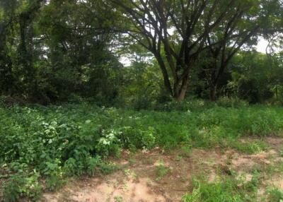 5,880 Sqm. Land listed for ฿ 1,853,000.