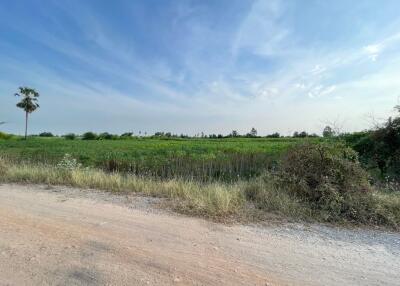 14,052 Sqm. Land listed for ฿ 1,845,000.