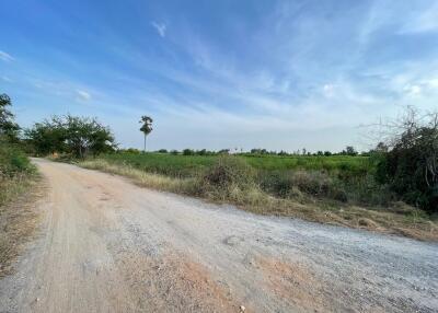 14,052 Sqm. Land listed for ฿ 1,845,000.