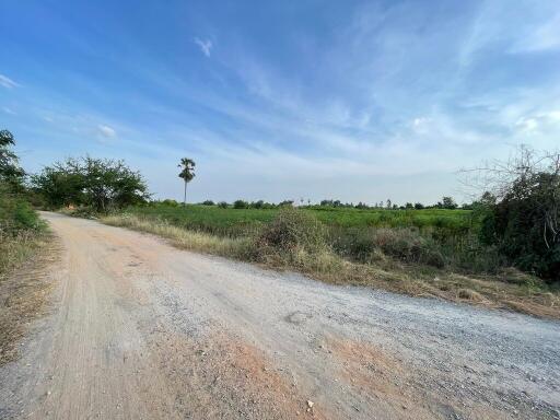 14,052 Sqm. Land listed for ฿ 1,845,000.