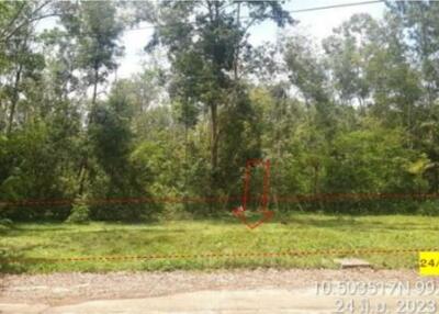 431 Sqm., 1 Bed Land listed for ฿ 1,450,000.