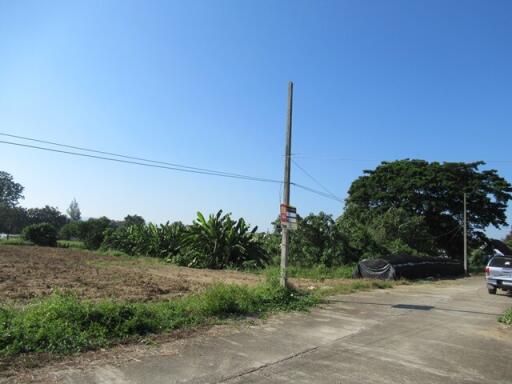 2,300 Sqm., 1 Bed Land listed for ฿ 1,812,000.