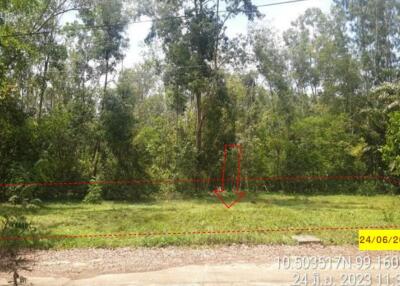 428 Sqm. Land listed for ฿ 1,440,000.