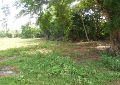 6,812 Sqm. Land listed for ฿ 1,789,000.