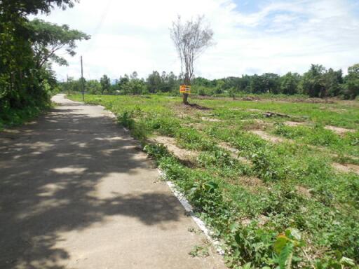 6,812 Sqm. Land listed for ฿ 1,789,000.