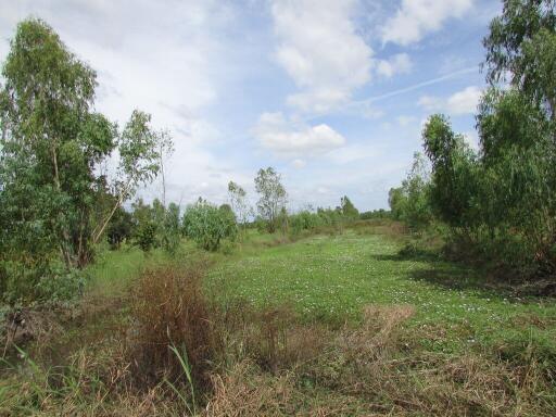 7,428 Sqm. Land listed for ฿ 1,755,000.