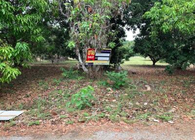 3,036 Sqm. Land listed for ฿ 1,754,000.