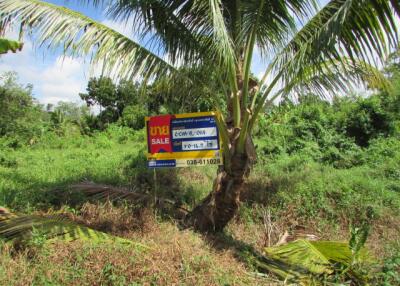 1,658 Sqm. Land listed for ฿ 1,741,000.