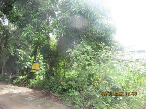 389 Sqm. Land listed for ฿ 1,737,000.
